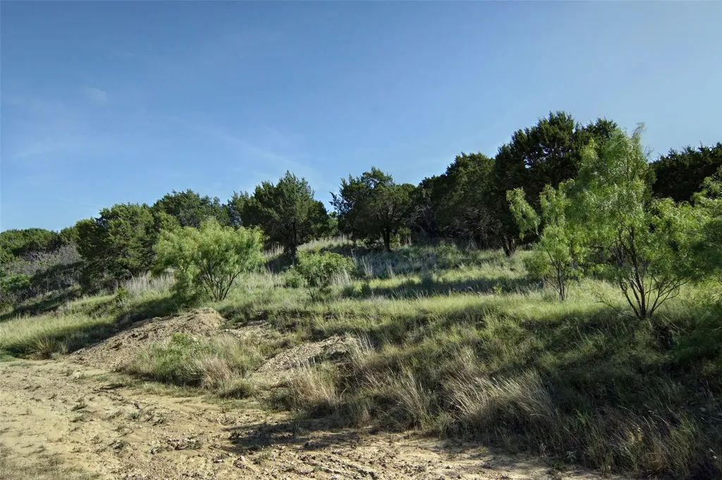 Tbd Lot 259 Canyon Wren Graford TX 76449