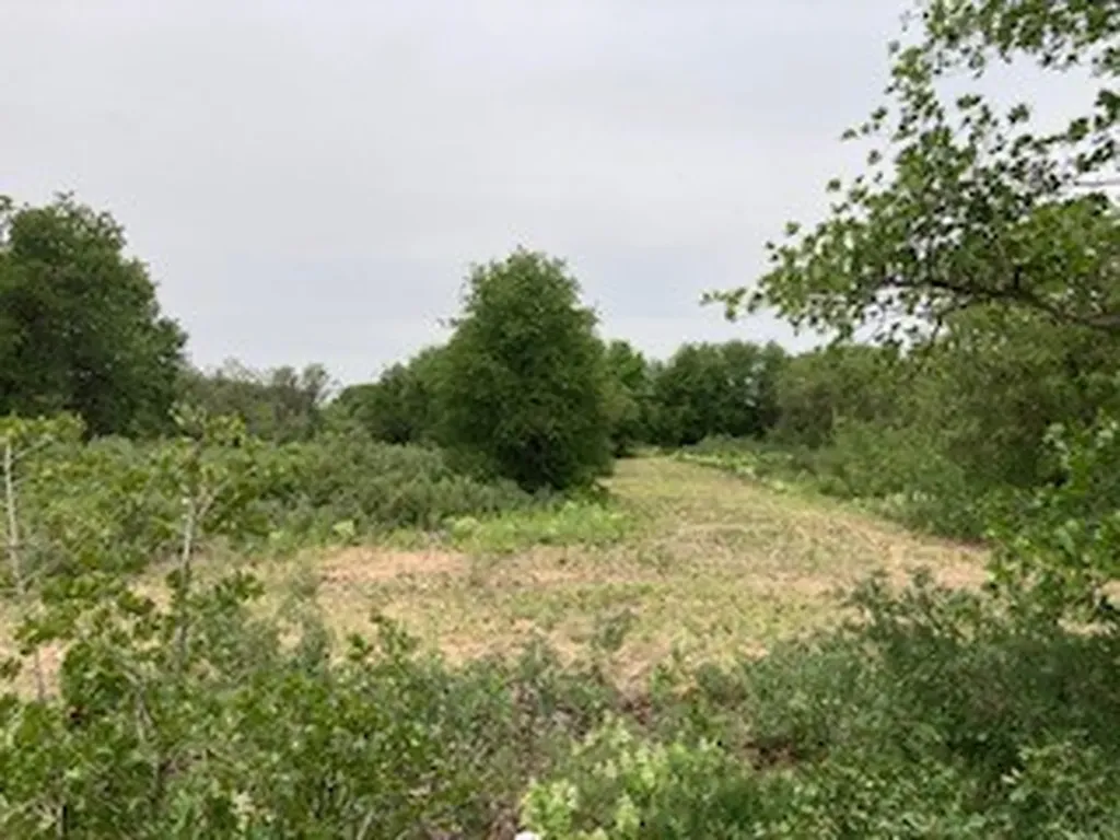 2520 Pr 334 Hawley TX 79525