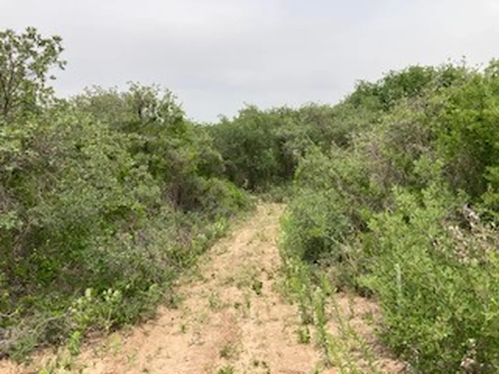 2520 Pr 334 Hawley TX 79525