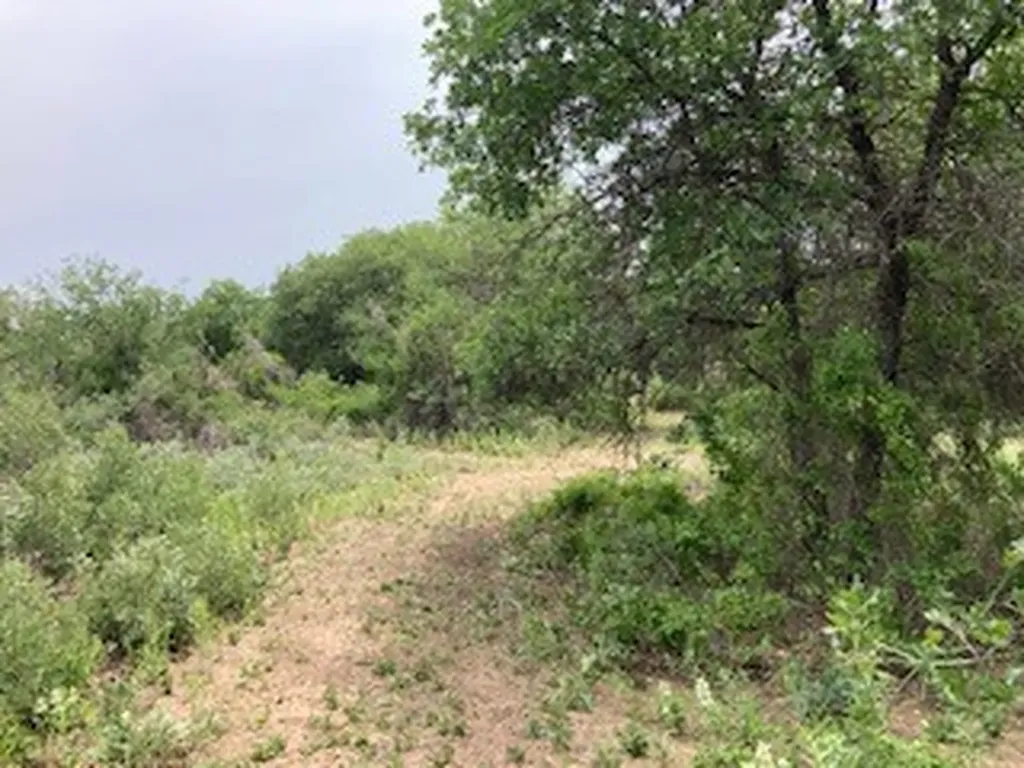 2520 Pr 334 Hawley TX 79525