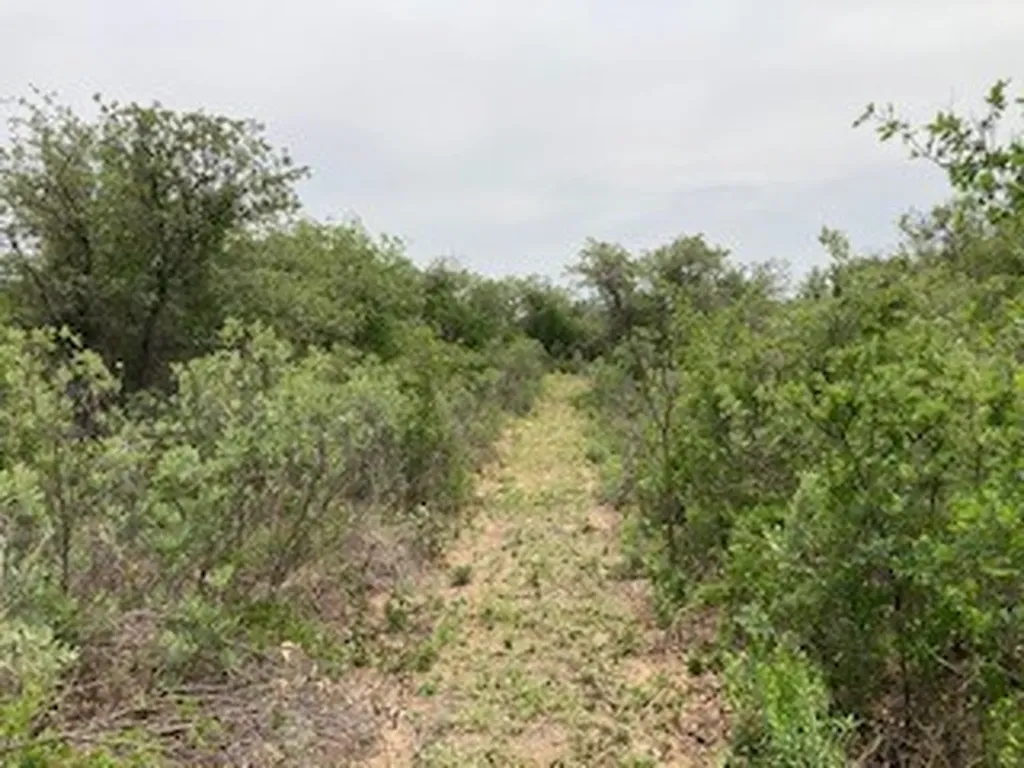 2520 Pr 334 Hawley TX 79525