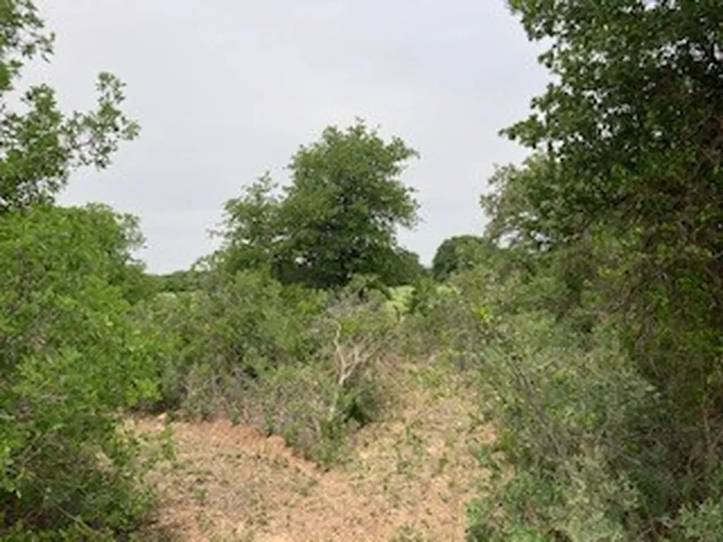 2520 Pr 334 Hawley TX 79525
