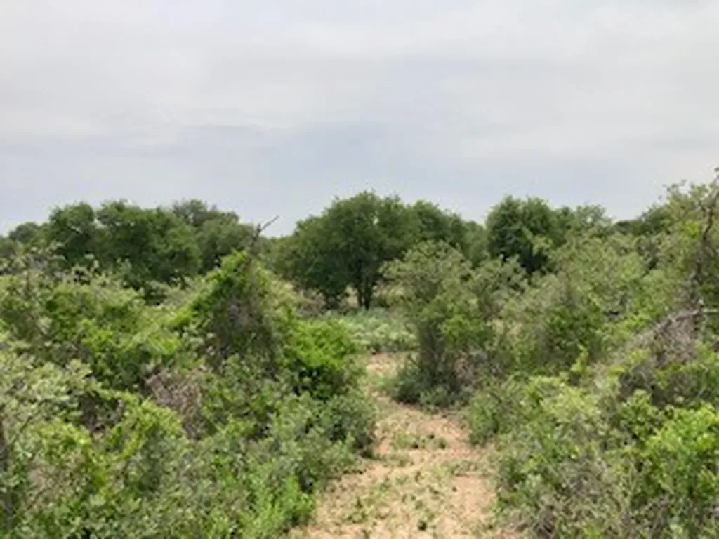 2520 Pr 334 Hawley TX 79525