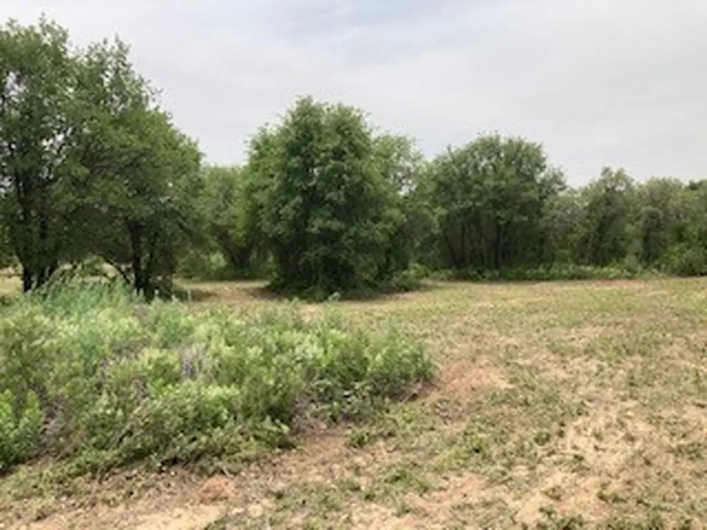 2520 Pr 334 Hawley TX 79525
