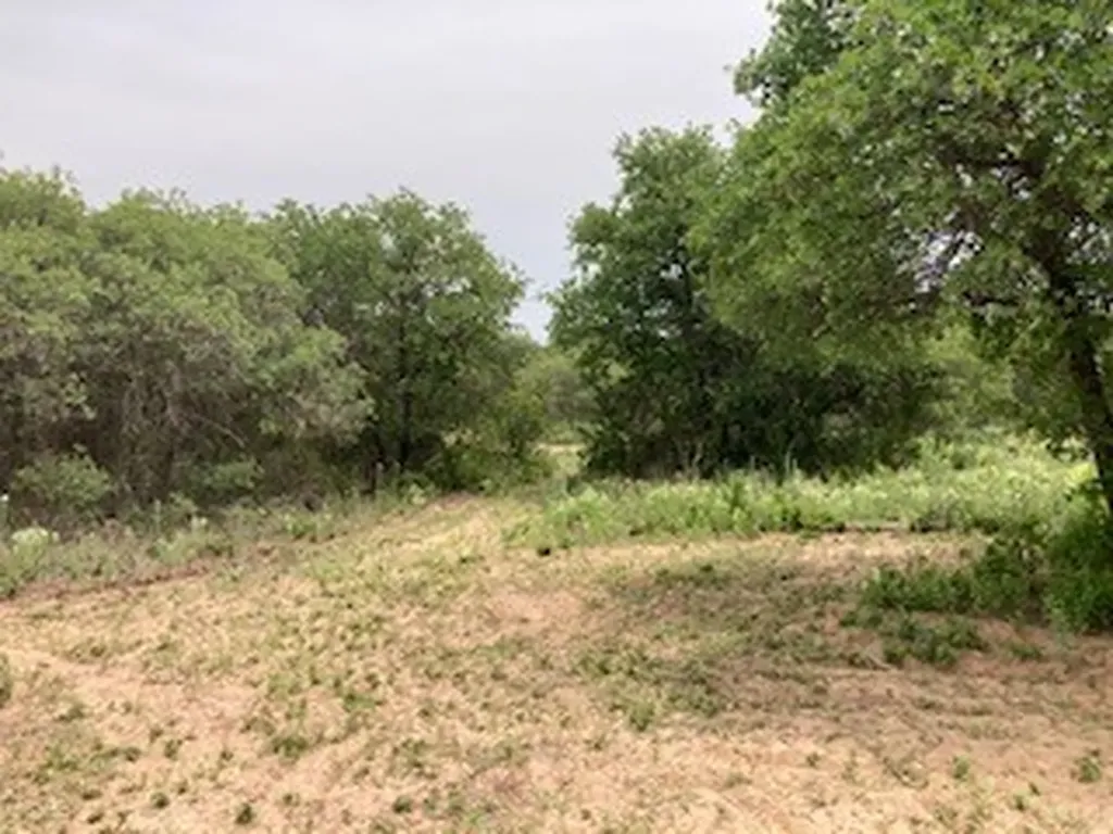 2520 Pr 334 Hawley TX 79525