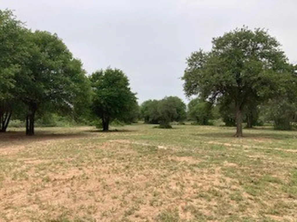 2520 Pr 334 Hawley TX 79525