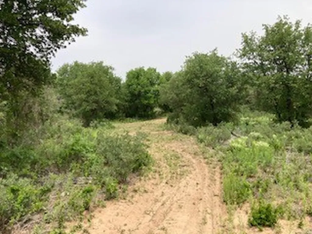 2520 Pr 334 Hawley TX 79525