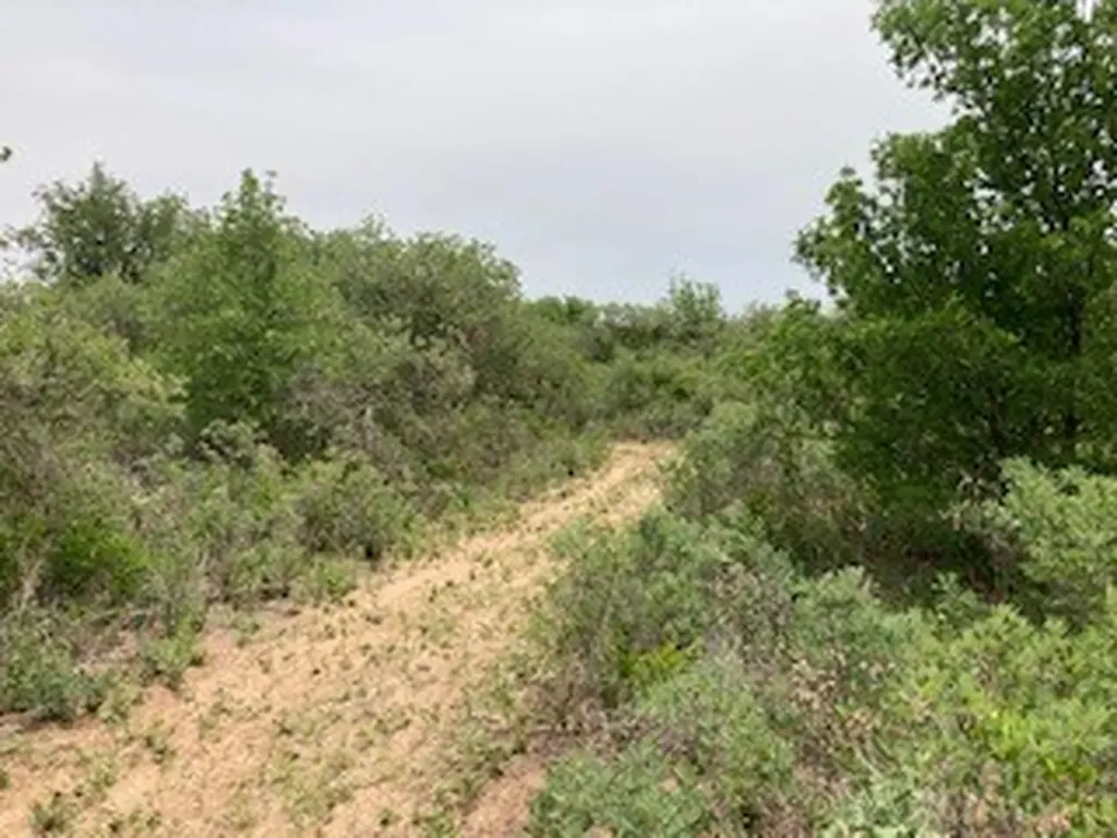 2520 Pr 334 Hawley TX 79525