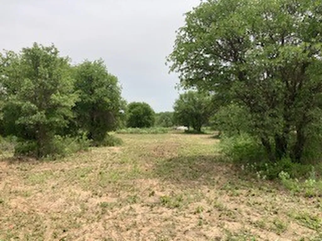 2520 Pr 334 Hawley TX 79525