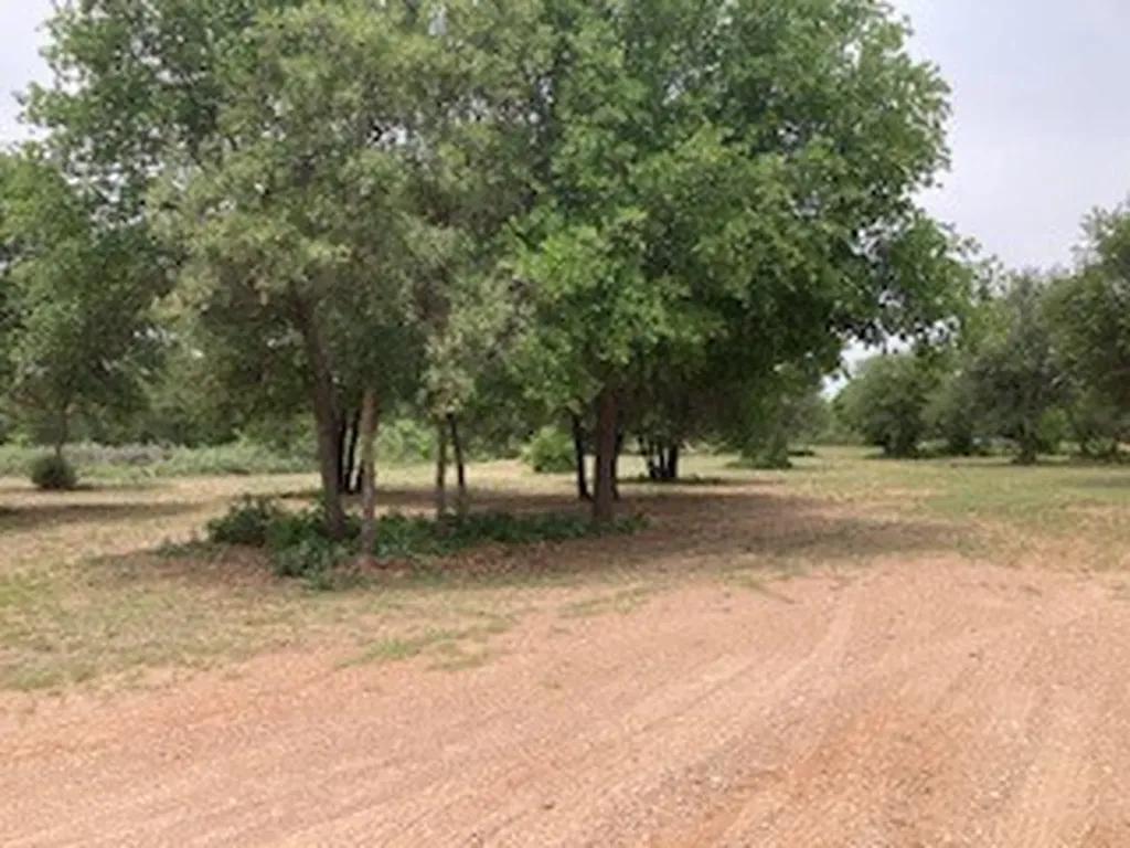 2520 Pr 334 Hawley TX 79525