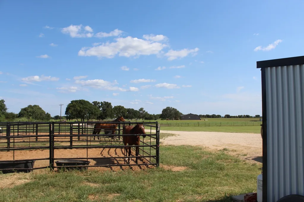 331 County Road 156a De Leon TX 76444
