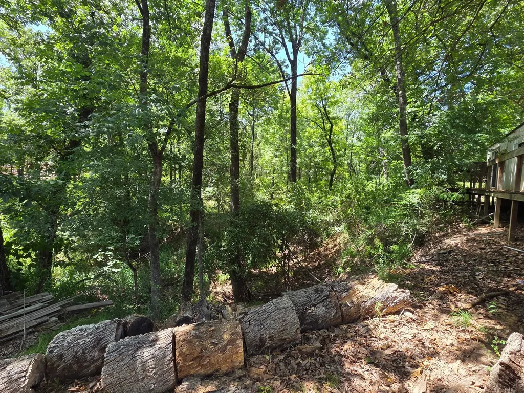 2205 Hickory Street Mabank TX 75156