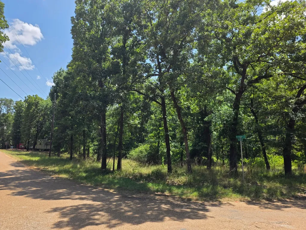 2205 Hickory Street Mabank TX 75156