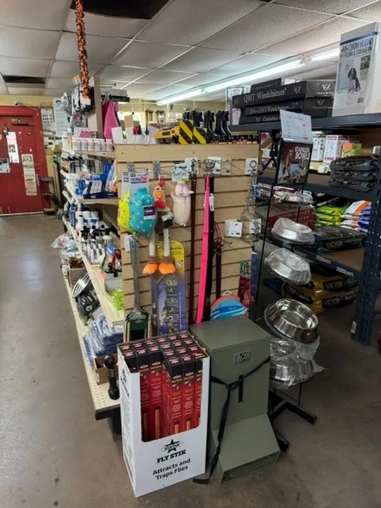 311 E Main Street Archer City TX 76351
