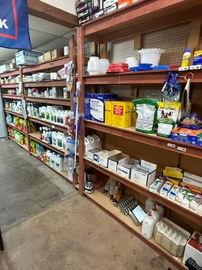 311 E Main Street Archer City TX 76351