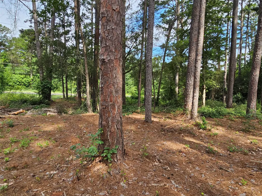 Tbd Green Meadow Trail Holly Lake Ranch TX 75765