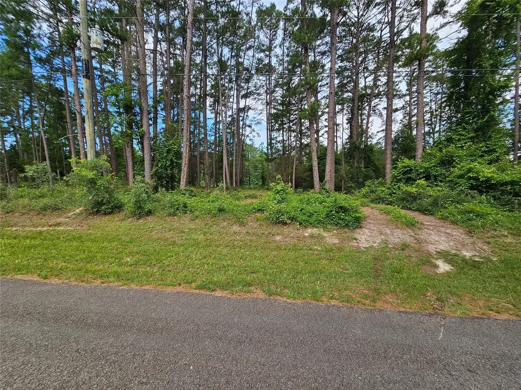 Tbd Green Meadow Trail Holly Lake Ranch TX 75765