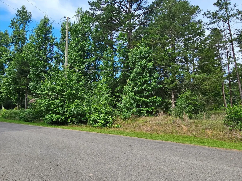 Tbd Green Meadow Trail Holly Lake Ranch TX 75765