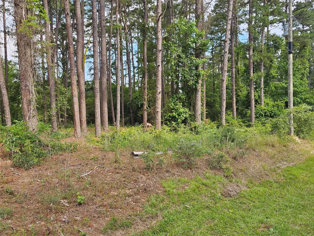Tbd Green Meadow Trail Holly Lake Ranch TX 75765