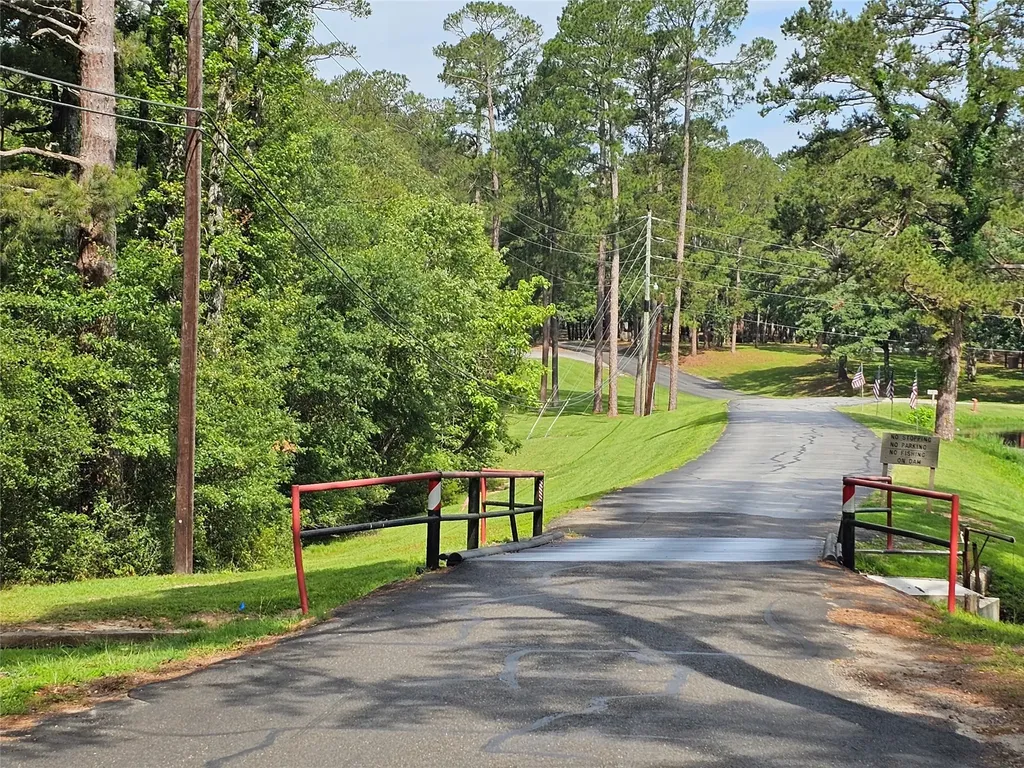 Tbd Green Meadow Trail Holly Lake Ranch TX 75765