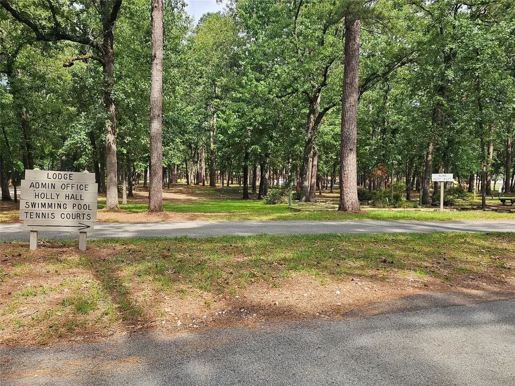 Tbd Green Meadow Trail Holly Lake Ranch TX 75765