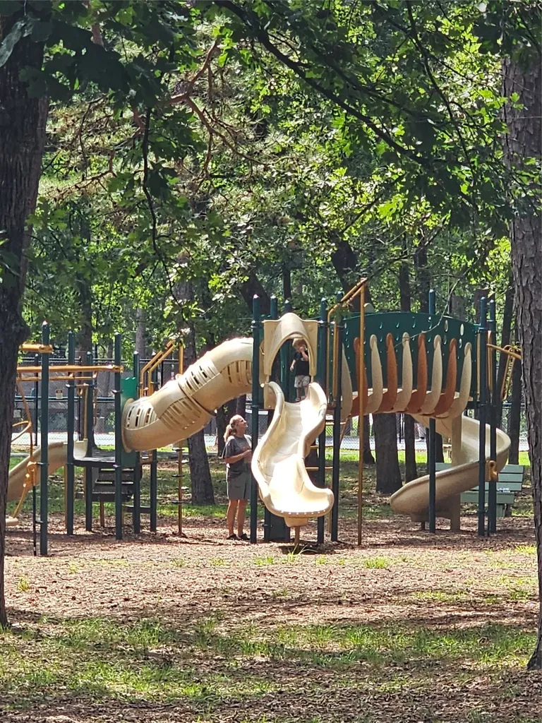 Tbd Green Meadow Trail Holly Lake Ranch TX 75765