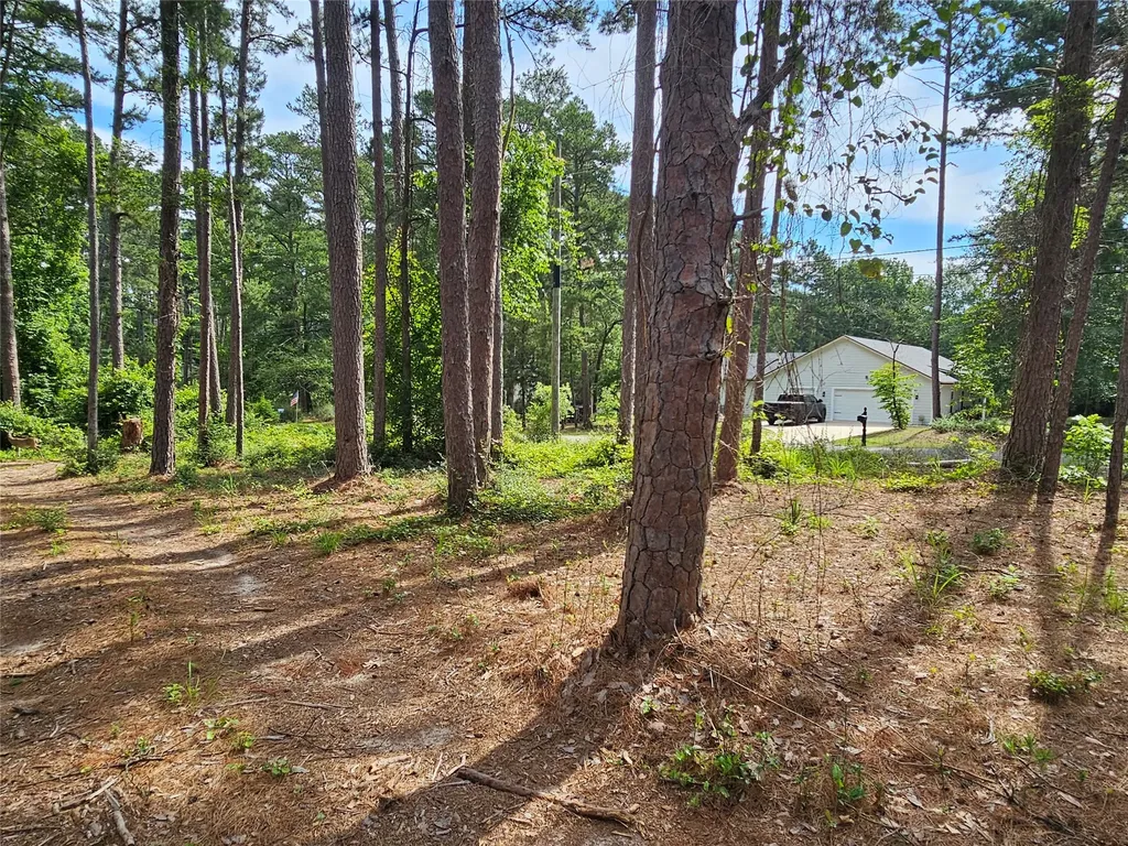 Tbd Green Meadow Trail Holly Lake Ranch TX 75765