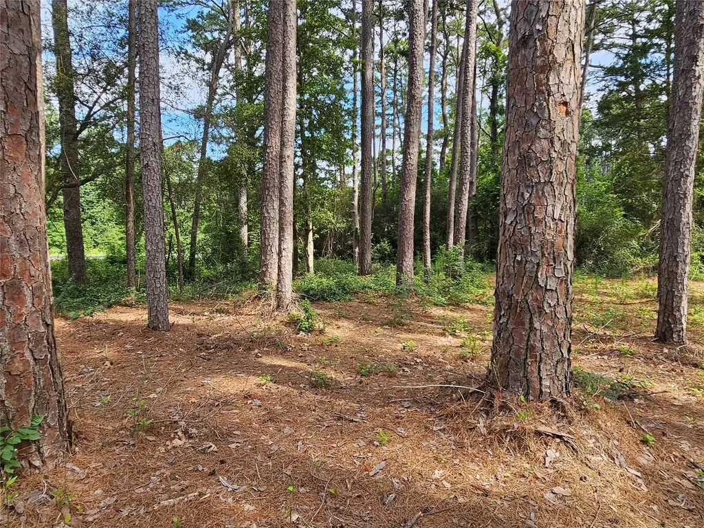 Tbd Green Meadow Trail Holly Lake Ranch TX 75765