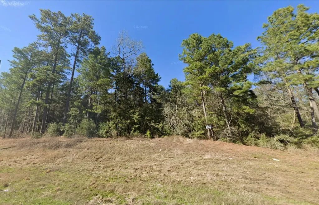 129 Feldspar Lane Huntsville TX 77340