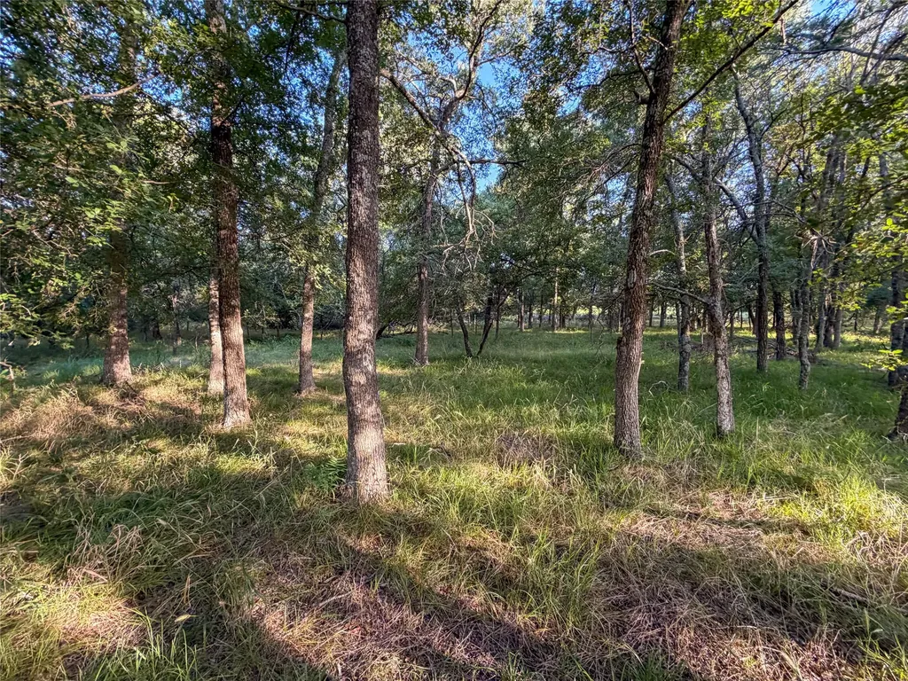 5715 Interstate 30 Campbell TX 75422