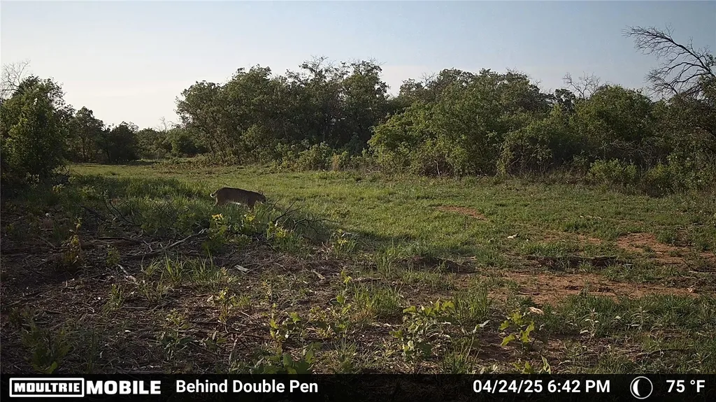 3599 County Road 413 Anson TX 79501