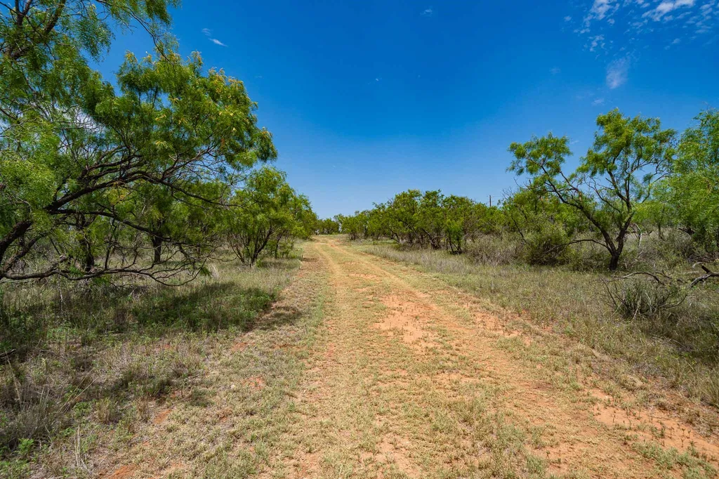 3599 County Road 413 Anson TX 79501