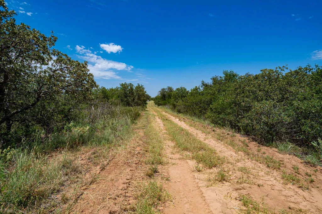 3599 County Road 413 Anson TX 79501