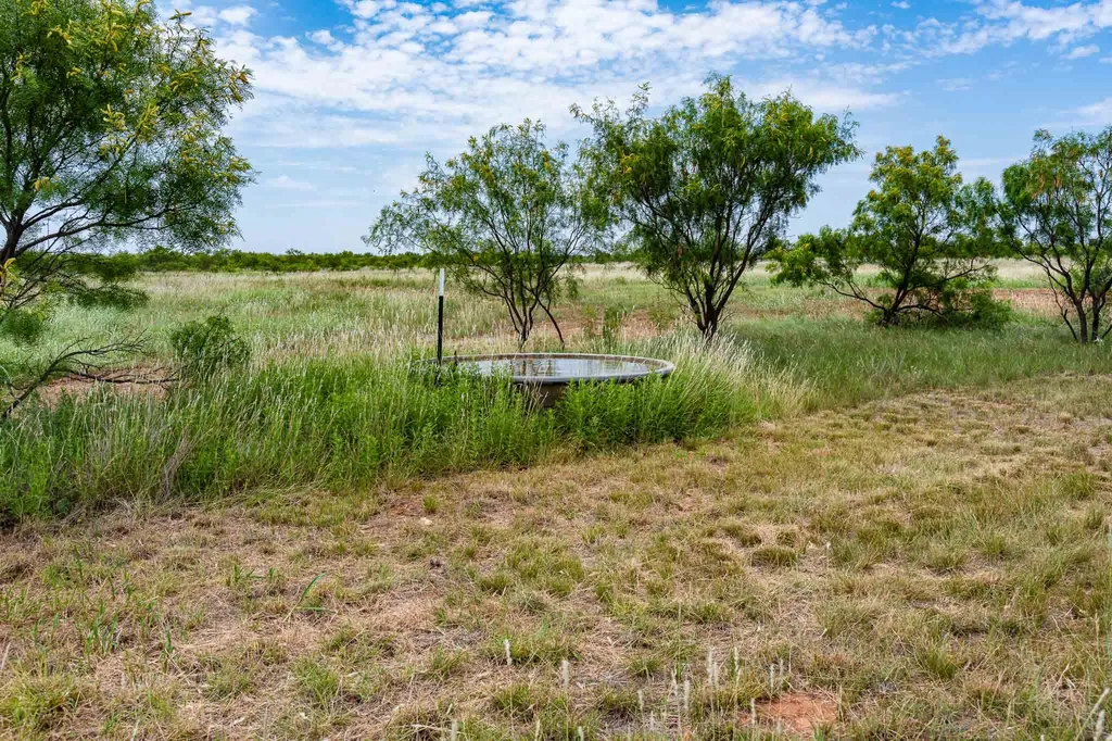 3599 County Road 413 Anson TX 79501