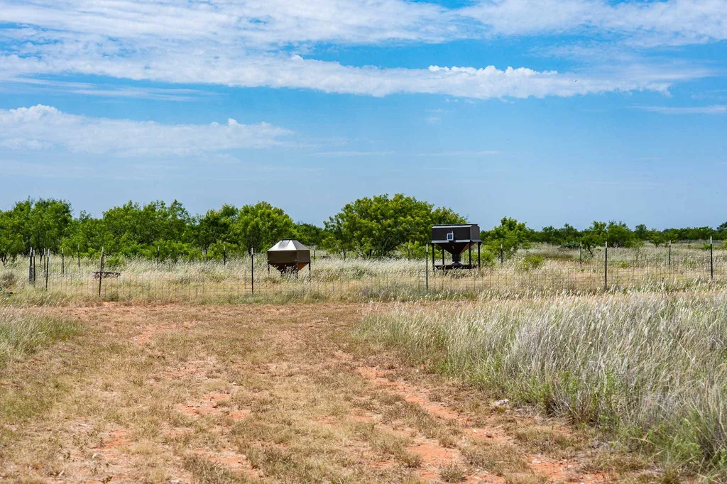 3599 County Road 413 Anson TX 79501