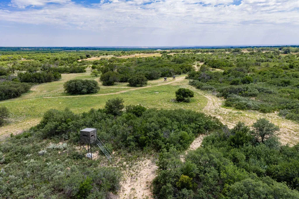 3599 County Road 413 Anson TX 79501