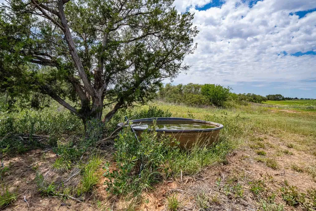 3599 County Road 413 Anson TX 79501