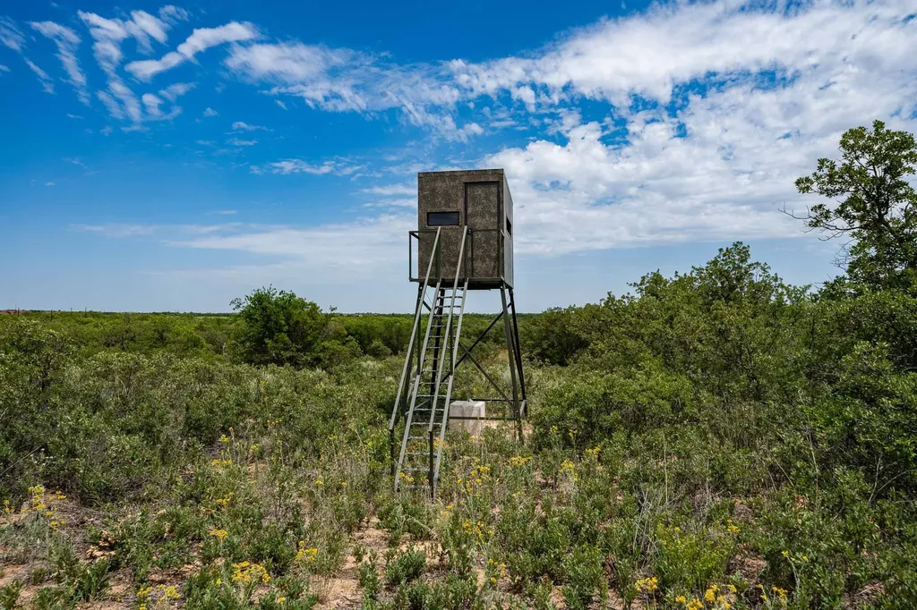 3599 County Road 413 Anson TX 79501