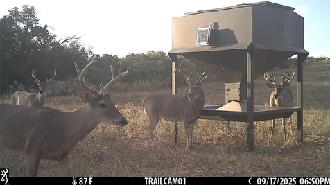 3599 County Road 413 Anson TX 79501