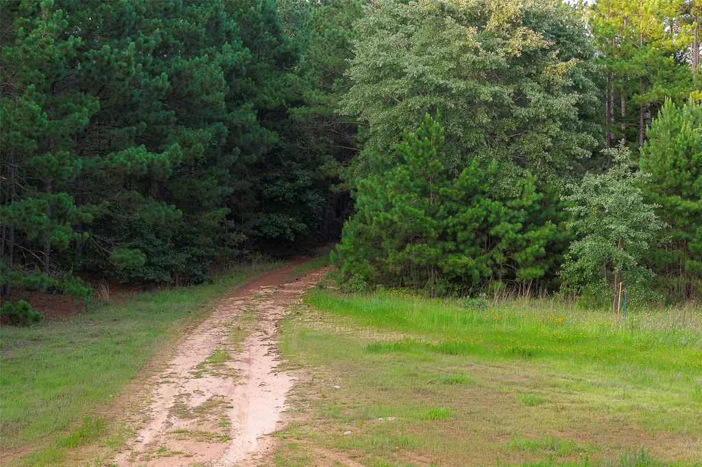 00 County Road 2136 Tatum TX 75691