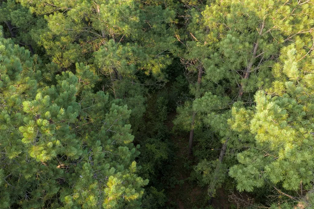 00 County Road 2136 Tatum TX 75691