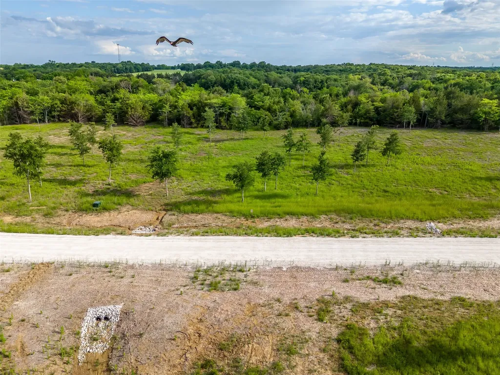 398 Timberland Heights Windom TX 75492