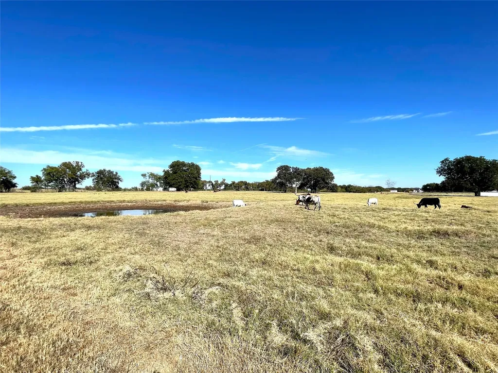 432 William Brewer Road Collinsville TX 76721
