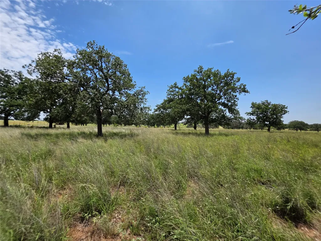 2251 Fm 585 Bangs TX 76823