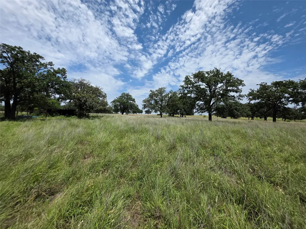 2251 Fm 585 Bangs TX 76823
