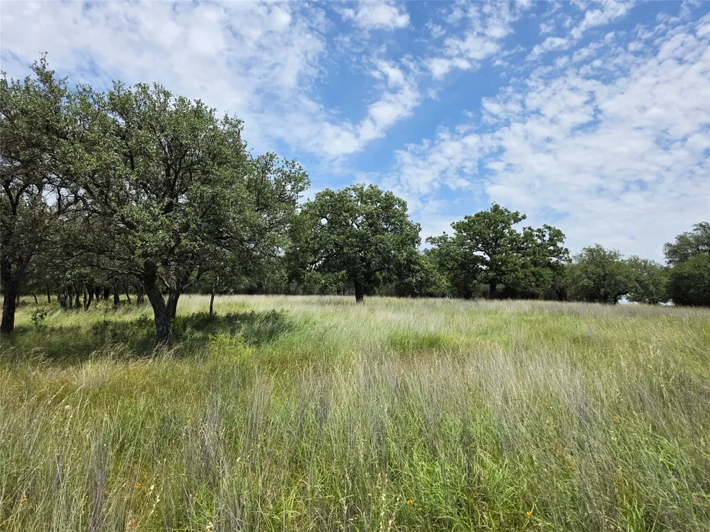 2251 Fm 585 Bangs TX 76823