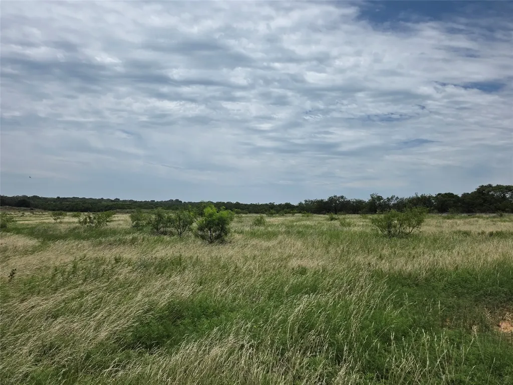 2251 Fm 585 Bangs TX 76823