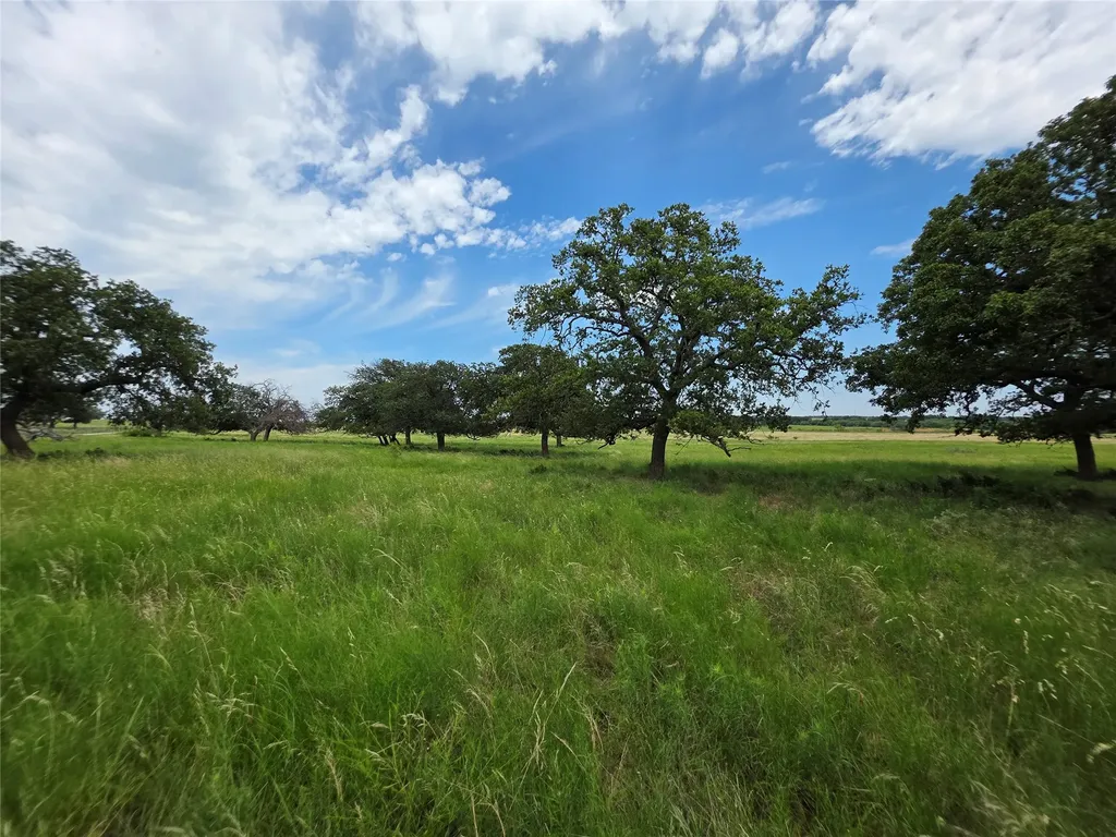 2251 Fm 585 Bangs TX 76823