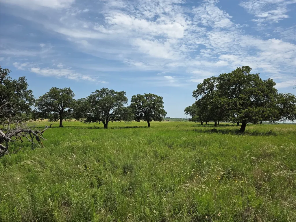 2251 Fm 585 Bangs TX 76823