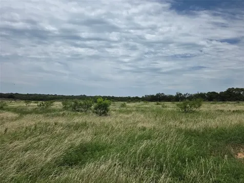 2251 Fm 585 Bangs TX 76823